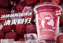 加盟瑞幸咖啡店前景好吗？