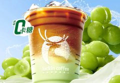 咖啡加盟十大品牌，瑞幸咖啡打造年度火热品牌 ！